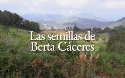 Les llavors de Berta Cáceres